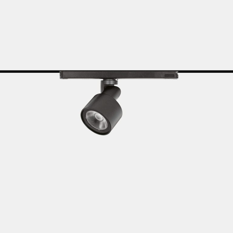 art. 6101 Talo