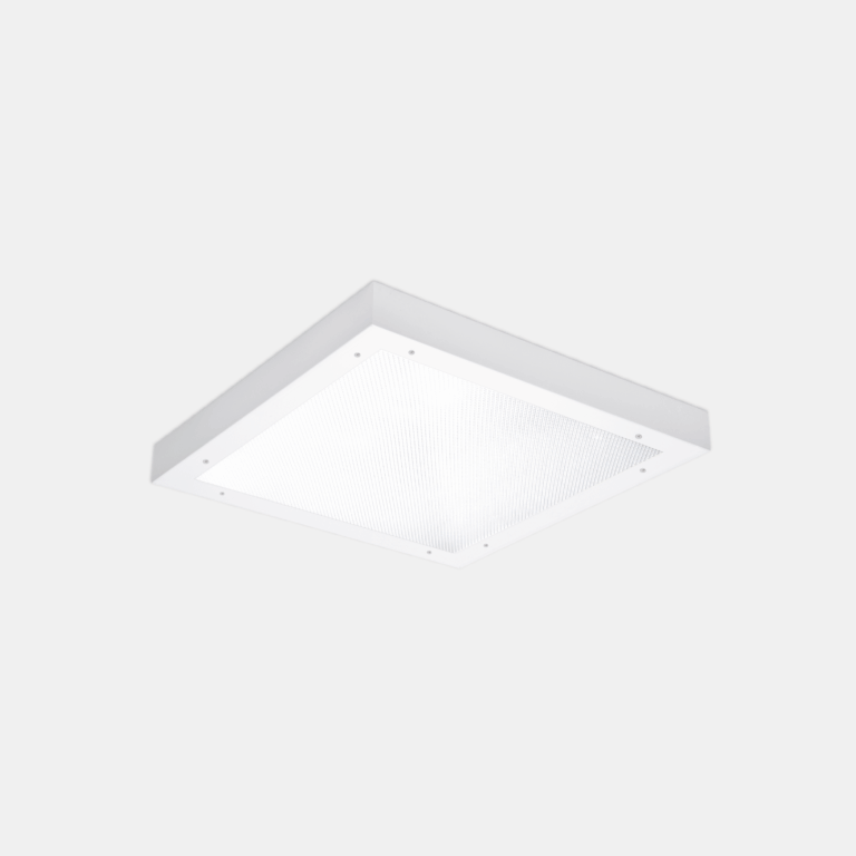 QUEEN IP65 - 1811